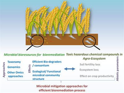 Cover image for research topic "Microbial Mitigation of Hazardous Compounds in Agro-Ecosystems"