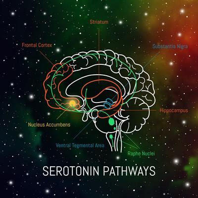 Cover image for research topic "Role of the Serotonergic System in Pathology of Major Depressive Disorders"