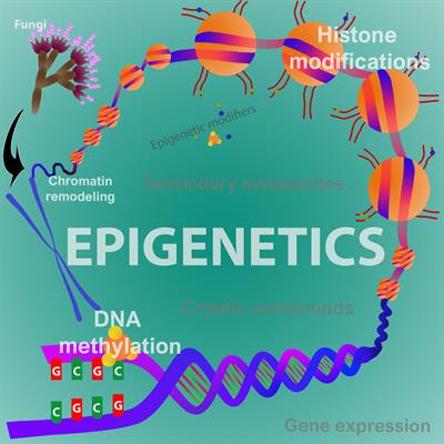 Cover image for research topic "Epigenetic Remodeling of Microorganisms of Pharmaceutical and Industrial Importance"