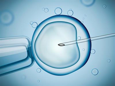 Cover image for research topic "Is the Success Rate of IVF/ART Improving or Declining? The Impact of the Last Decade of Modifications on IVF Outcomes"