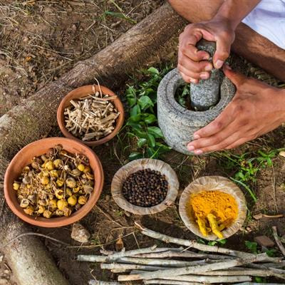 Cover image for research topic "Developing Medicines for Infectious Diseases – How Can We Better Use The Potential of Local and Traditional Knowledge?"