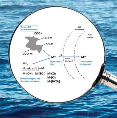 Cover image for research topic "Metal-Organic Interactions in Seawater under Changing Anthropogenic and Climate Conditions"