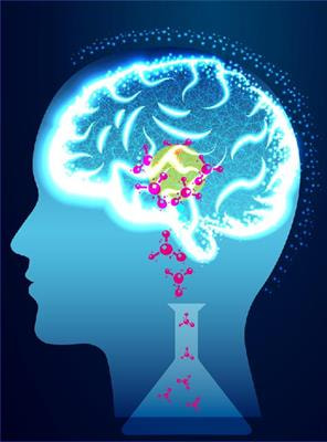 Cover image for research topic "Neurotrophins Biodelivery to CNS: Innovative Approaches for Disease-Modifying therapy"