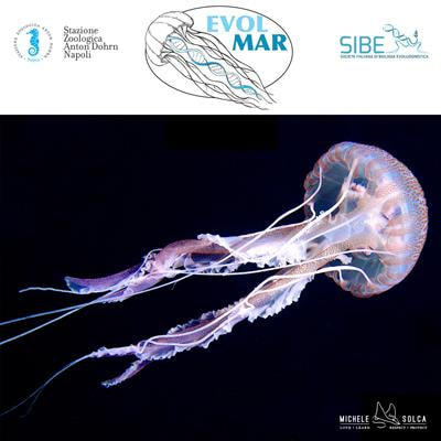 Cover image for research topic "EVOLMAR 2020 - The First Italian Congress on Marine Evolution"