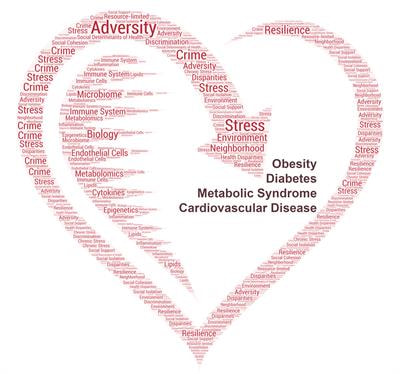 Cover image for research topic "The Biological Impact of Adversity on Cardiovascular Disease Risk and Obesity"