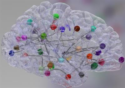 Cover image for research topic "Advances in Brain Functional and Structural Networks Modeling via Graph Theory"