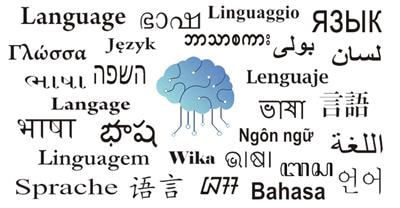 Cover image for research topic "Second Language Learning and Neuroplasticity: Individual Differences"