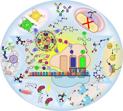 Cover image for research topic "Expansion of the Genetic Code: Unnatural Amino Acids and their Applications"