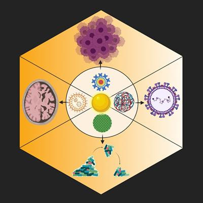 Cover image for research topic "Biosynthesis of Bio-inspired Nanoparticles/Nanomaterials and Evaluation of their Therapeutic Potential in the Medical Field"