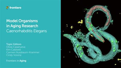 Cover image for research topic "Model Organisms in Aging Research: Caenorhabditis elegans"