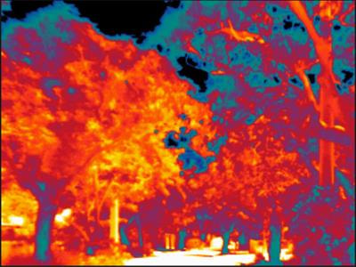 Cover image for research topic "Urban ecohydrology & hydrometeorology: Integrating water and greenery management to improve climate resilience in cities"