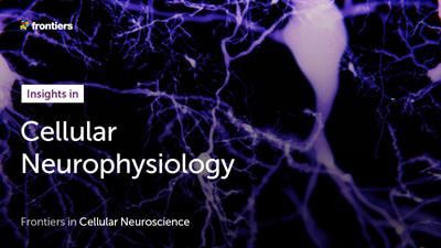 Cover image for research topic "Insights in Cellular Neurophysiology: 2021"