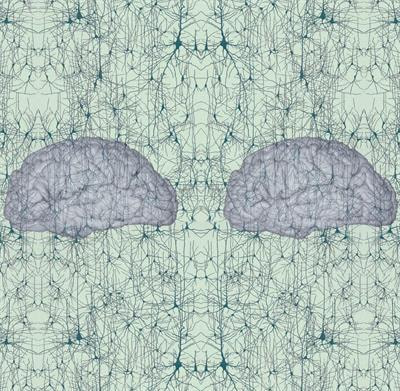 Cover image for research topic "Sex Differences in the Brain"