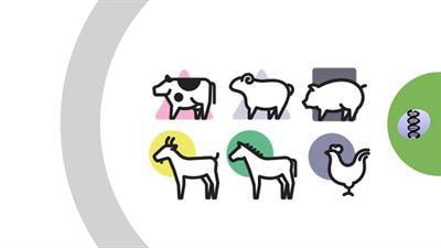 Cover image for research topic "Traditional and Up-to-date Genomic Insights into Domestic Animal Diversity"