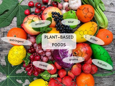 Cover image for research topic "Towards Plant-Based Foods: From Plant Biodiversity to Discovery of Sensorically Active Compounds"