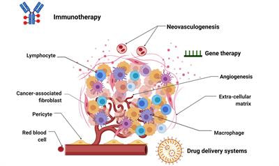 Cover image for research topic "Tumor Microenvironment Complexity and its Therapeutic Implications"