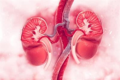 Cover image for research topic "Nutrition and Metabolism in Kidney Diseases"