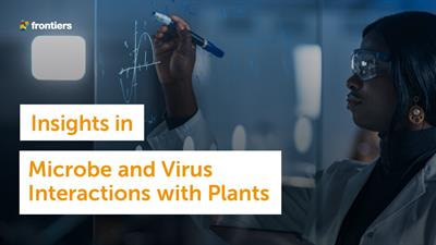 Cover image for research topic "Insights in Microbe and Virus Interactions with Plants: 2021"