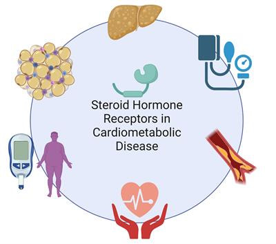 Cover image for research topic "Steroid Hormone Receptors in Cardiometabolic Disease"