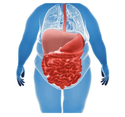 Cover image for research topic "Obesity and Gastrointestinal Cancer"