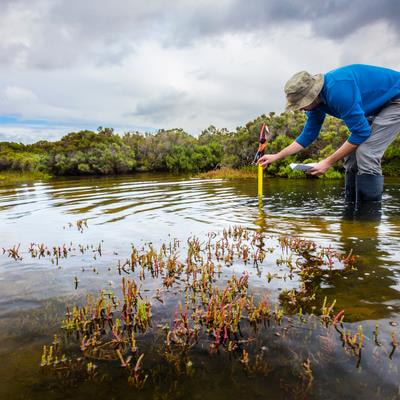 Cover image for research topic "Wetland Ecosystems as Important Greenhouse Hotspots"