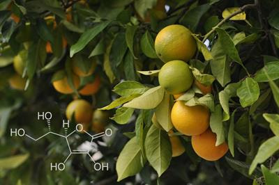 Cover image for research topic "Ascorbate Metabolism in Plants"