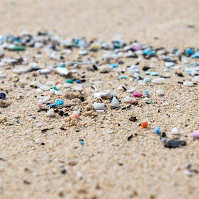 Cover image for research topic "Plastics in the Environment: Understanding Impacts and Identifying Solutions, Volume II"