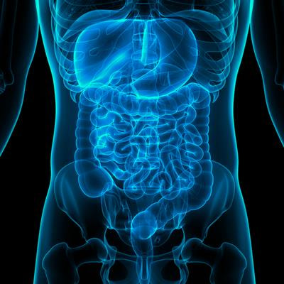 Cover image for research topic "Key Opinions Showcase: Gastroenterology"