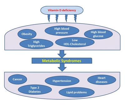 Cover image for research topic "The Role of Vitamin D in Reducing the Risk of Metabolic Syndromes"