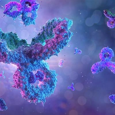 Cover image for research topic "Autoimmune and Inflammatory Rheumatic Diseases: Identifying Biomarkers of Response to Therapy with Biologics: Volume II"