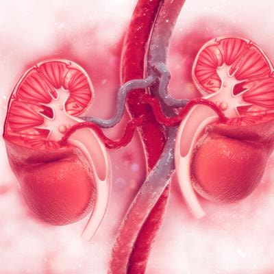 Cover image for research topic "Cardiorenal dysregulation in endocrine disorders: Innovative mechanisms and therapeutic interventions"