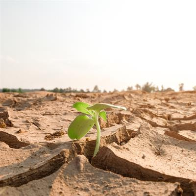 Cover image for research topic "Food-Energy-Water Systems: Achieving Climate Resilience and Sustainable Development in the 21st Century"