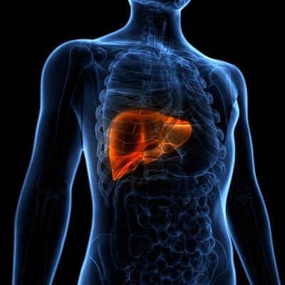 Cover image for research topic "New Compounds, Novel Targets and Mechanism Study in Inflammation-Associated Liver Diseases"