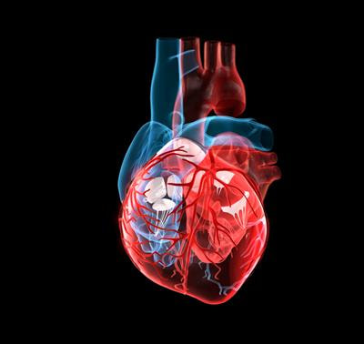 Cover image for research topic "Innovative Research on Coronary Artery Hemodynamics, Heart Treatment and Cardiovascular Medicine"