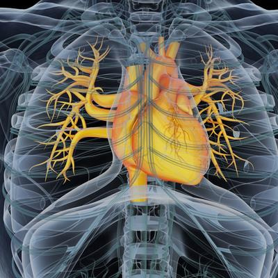 Cover image for research topic "Recent Developments in Pharmacogenomics and Pharmacogenetics of Cardiovascular and Neurovascular Disorders"