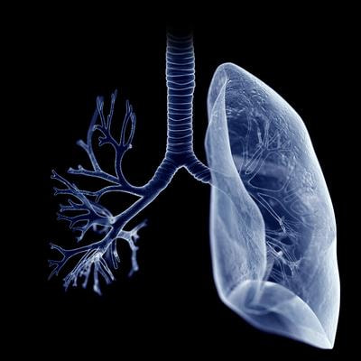 Cover image for research topic "Impact of System Biology and Molecular Medicine on the Management of Complex Immune Mediated Respiratory Diseases, Volume II"
