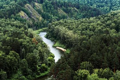 Cover image for research topic "The UN International Day of Forests 2022: Forests and Water"
