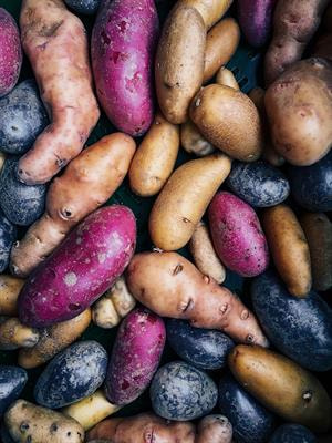 Cover image for research topic "Characterization of major traits and identification of functional genes for potato"