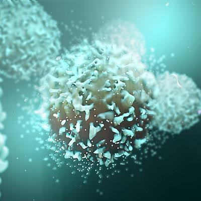 Cover image for research topic "The State of the Art in Head and Neck Cancer and Carcinogenesis Translational Research"
