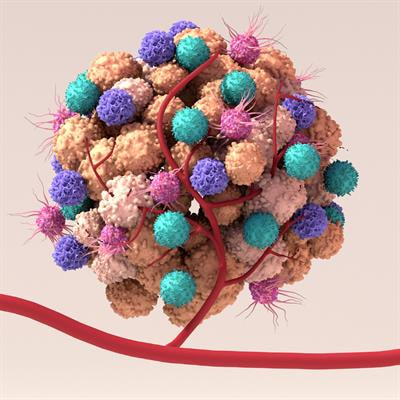 Cover image for research topic "Multi-Omics Analysis in Tumor Microenvironment and Tumor Heterogeneity"