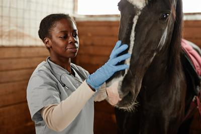 Cover image for research topic "Advances in Equine Gastroenterology: Pathogenesis, Diagnosis and Treatment"