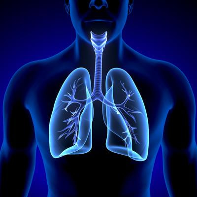 Cover image for research topic "Alternative and Expanding Views on Central Respiratory Chemoreception in Health and Disease"