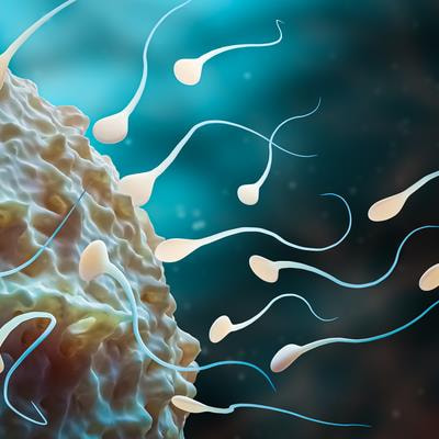 Cover image for research topic "Novel Approaches To Predict And Improve Sperm Function During Semen Storage"