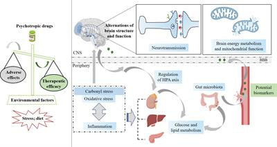 Cover image for research topic "The Pros and Cons of Psychotropic Drug-Induced Changes in Periphery and Central Nervous System: Elucidating Structural and Molecular Mechanisms"