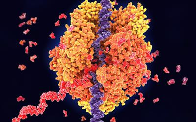 Cover image for research topic "Epitranscriptomics in Microbiology"