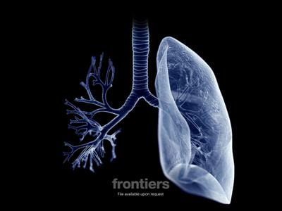 Cover image for research topic "Applications of Medicine in Treating Pulmonary Fibrosis"