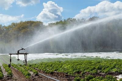 Cover image for research topic "Intelligent Computing in Farmland Water Conservancy for Smart Agriculture"