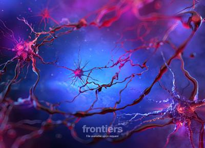 Cover image for research topic "Molecular and Cellular Mechanisms of Synaptopathies: Emerging Synaptic aging-related molecular pathways in Neurological Disorders"