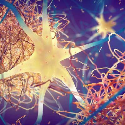 Cover image for research topic "Antioxidant and neuroprotective potential of alternative and complementary therapeutic approaches against Alzheimer’s disease"