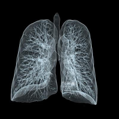 Cover image for research topic "Molecular pharmacological approaches against lung diseases: targeted drug discovery"